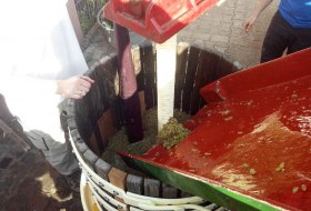 Weingut Tobias Hahn_Presse &copy; Weingut Tobias Hahn