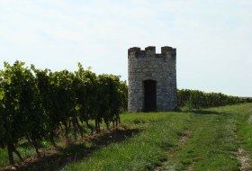 Weinbergshaus Hangen-Weisheim © Verbandsgemeinde Wonnegau / Michael Thier