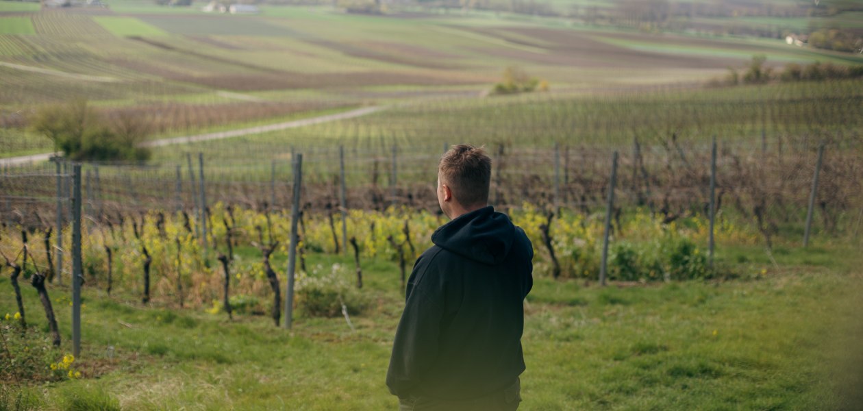 Weingut Binzel_Winzer Weinberg, &copy; Weingut Binzel