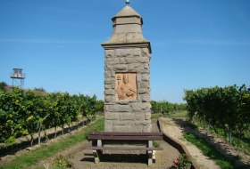 Weinberge Dittelsheim-Heßloch © Verbandsgemeinde Wonnegau / Michael Thier