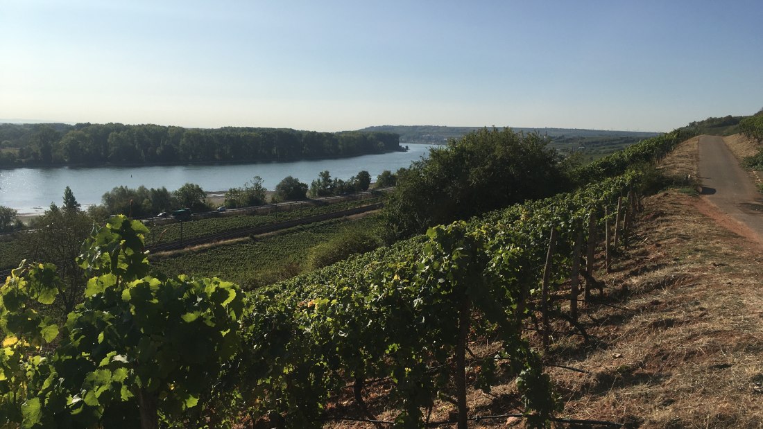 Regional, &copy; Weingut Sans-Lorch