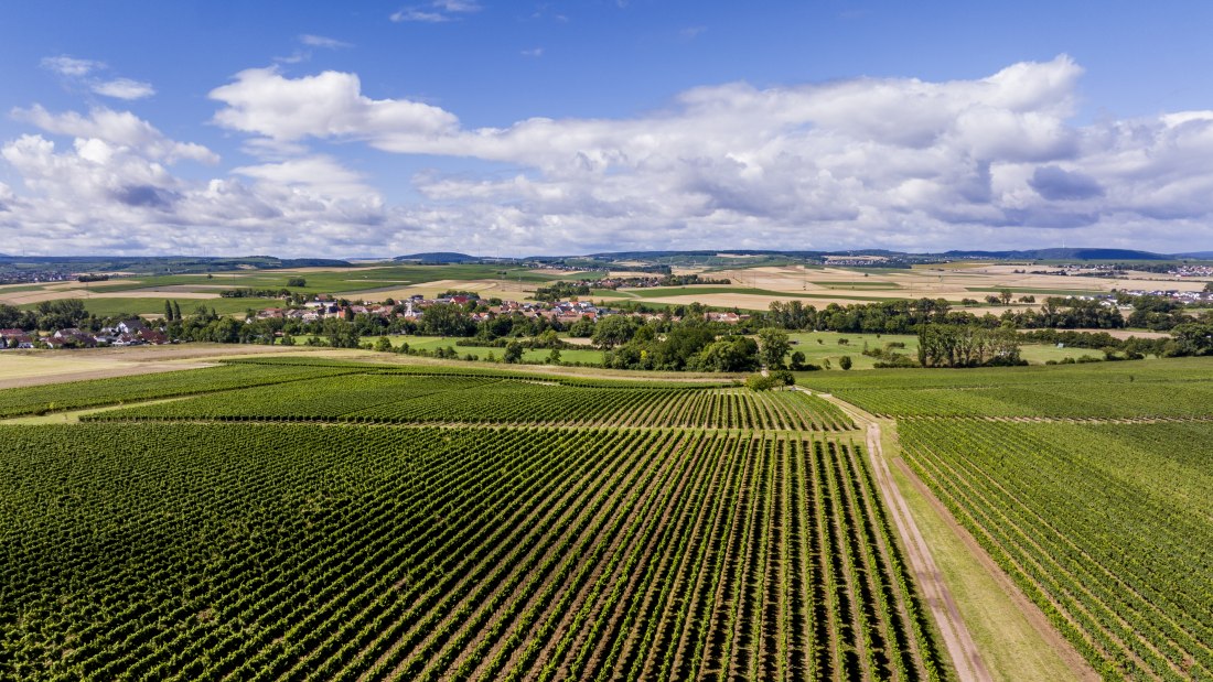 Badenheimer Galgenberg