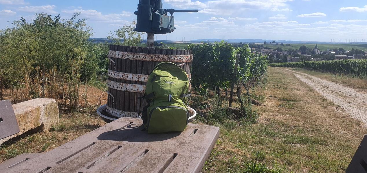 Wundersame Wonnegau Touren, &copy; Touristikverein Wonnegau