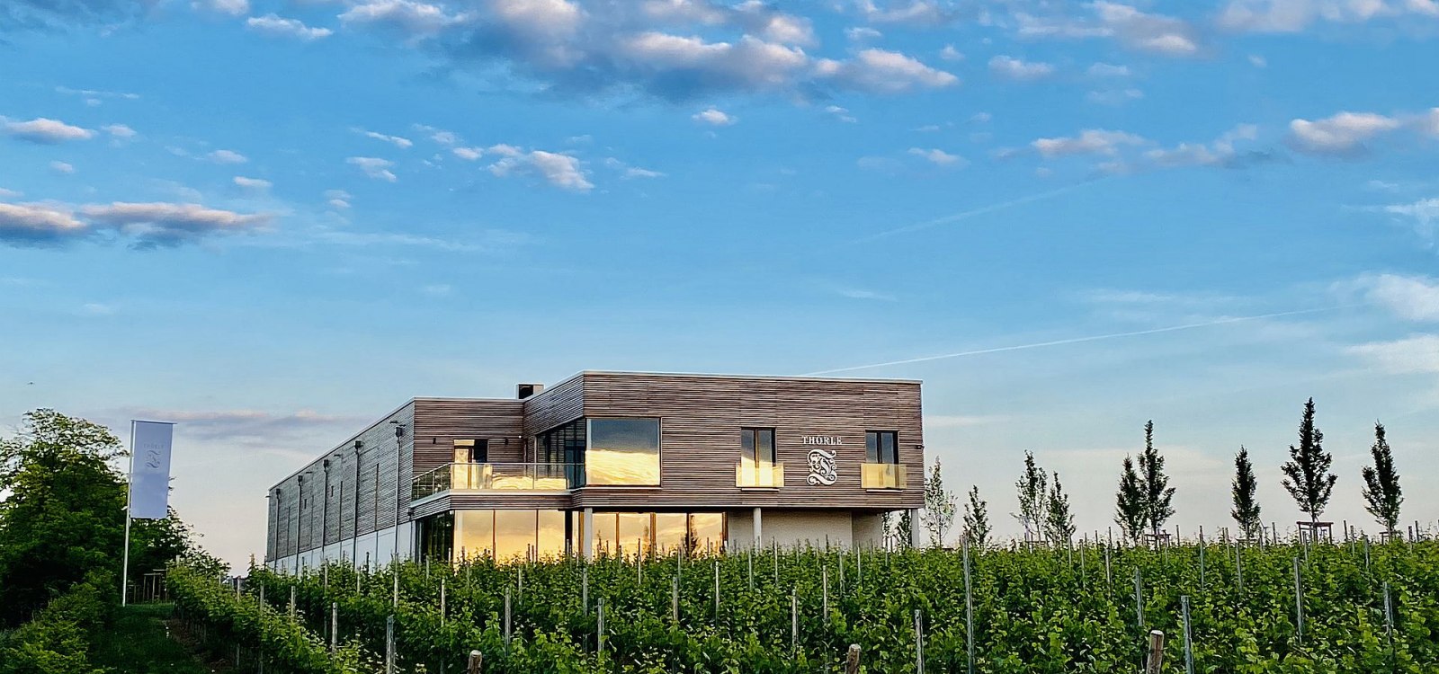 Weingut Th&ouml;rle_Geb&auml;ude, &copy; Weingut Th&ouml;rle