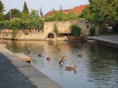 Seebach Westhofen &copy; Elisabeth Magin-Fehlinger