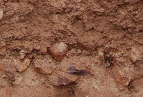 Vulkanstein Rigosol, &copy; Landesamt f&uuml;r Geologie und Bergbau Rheinland-Pfalz