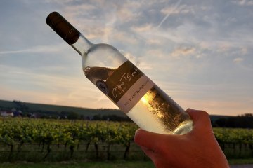 Weingut Otto Becker_bei Sonnenuntergang, &copy; Weingut Otto Becker