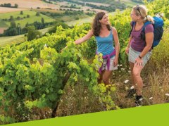 Nordic Walking Brosch&uuml;re &copy; Touristikverein Wonnegau e.V.