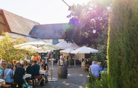 Offener Weingutshof &copy; Sebastian &Ouml;streicher