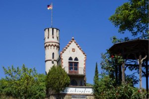 Leckzapfen, &copy; Carsten Costard