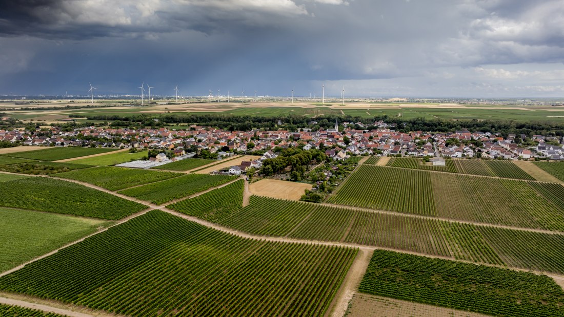 Heppenheimer Affenberg, © Torsten Silz