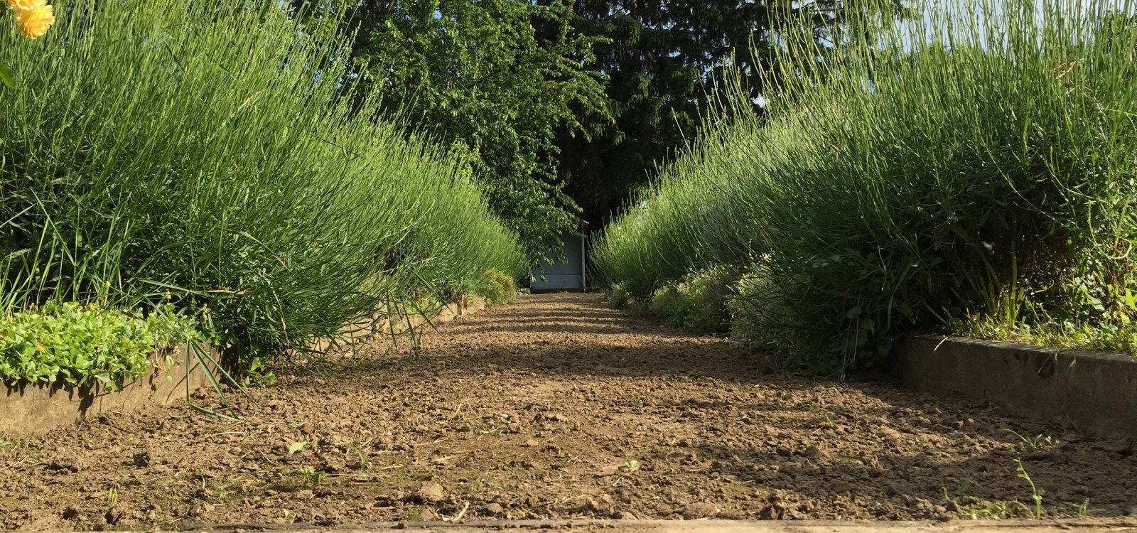 Garten der Familie Müller, © Erik Müller