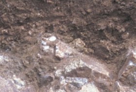 Vulkanstein Braunerde, © Landesamt für Geologie und Bergbau Rheinland-Pfalz