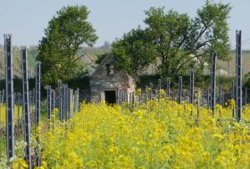 Blick auf das Unvollendete Heisje &copy; Michael Jung