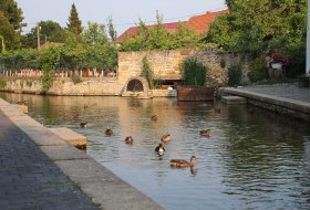 Seebach Westhofen &copy; Elisabeth Magin-Fehlinger