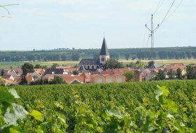 Bild auf Gundheim © Verbandsgemeinde Wonnegau / Michael Thier