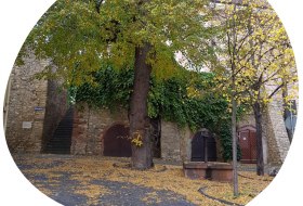 Kellergasse Westhofen &copy; Touristikverein Wonnegau