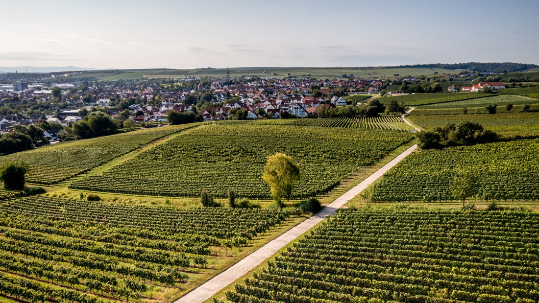 Bodenheimer Burgweg