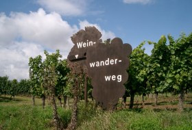 Weinwanderweg Gundersheim © Erno Strauß