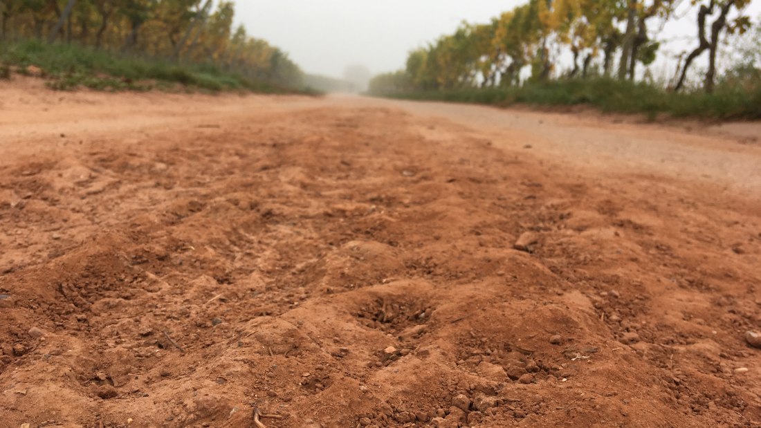 WeinBERGE, &copy; Weingut Sans-Lorch