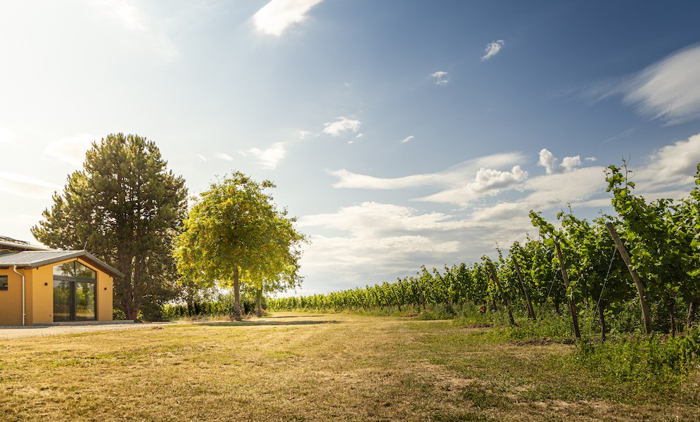Weingut Schottenhof_Au&szlig;en, &copy; Weingut Schottenhof