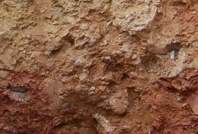 Quarzit Rigosol &copy; Landesamt f&uuml;r Geologie und Bergbau Rheinland-Pfalz