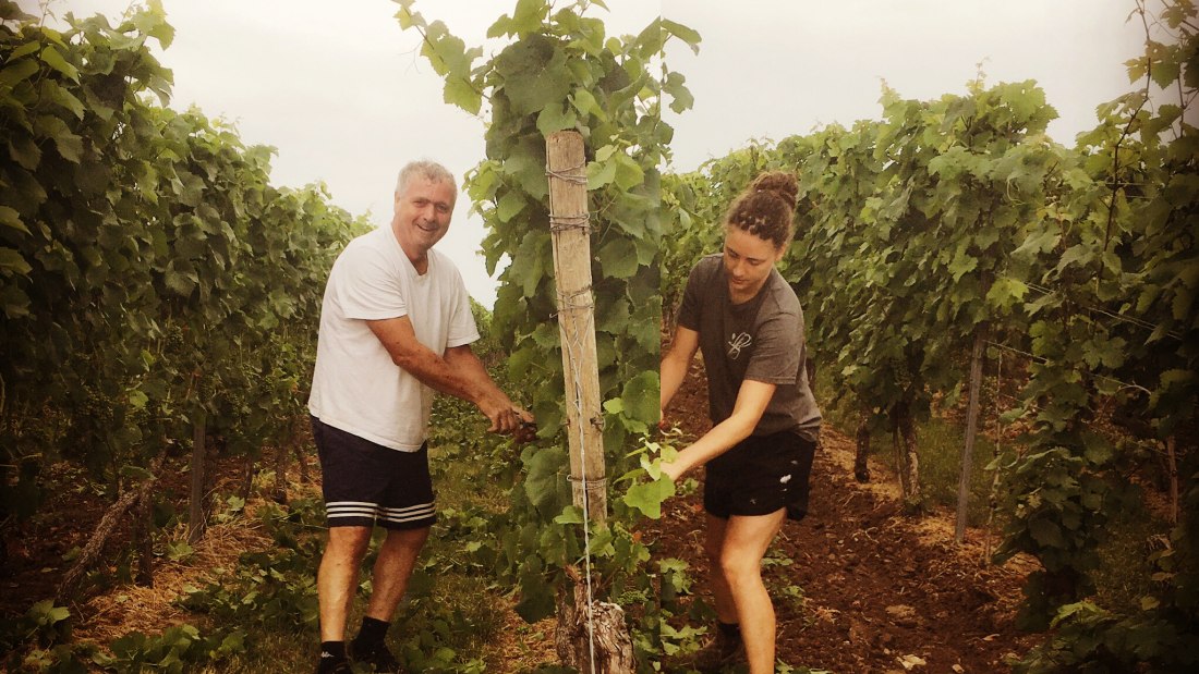 Weinmacher, &copy; Weingut Sans-Lorch