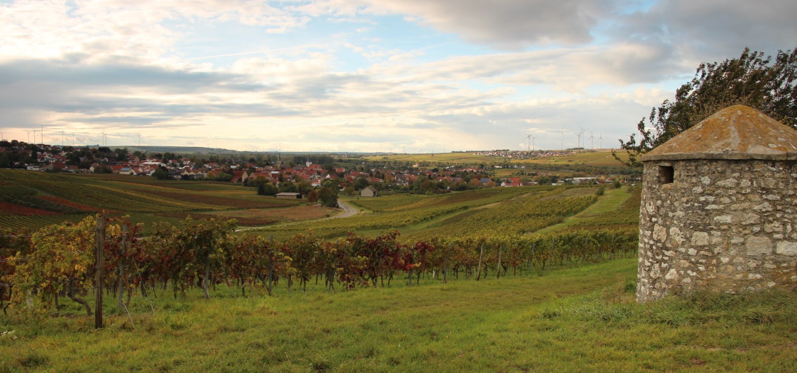 Blick auf Gundersheim, © Stephan Ennemoser