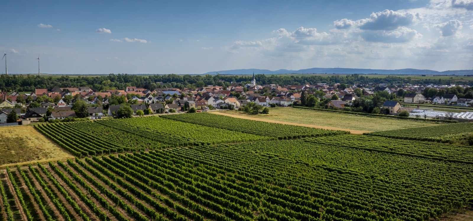 Heppenheimer Schneckenberg, &copy; Torsten Silz