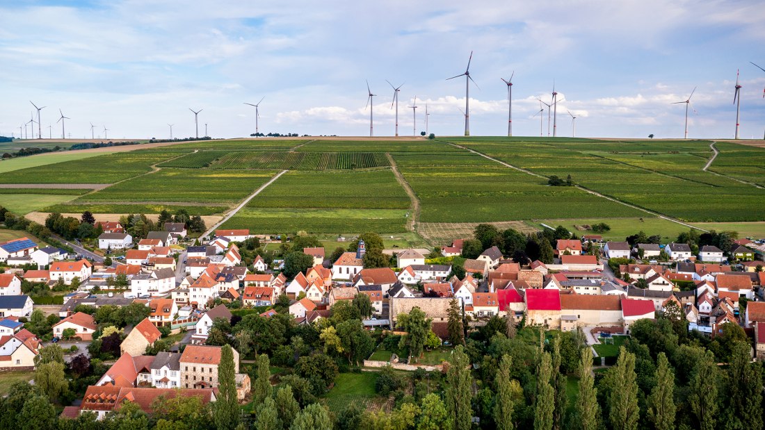 Dautenheimer Himmelacker