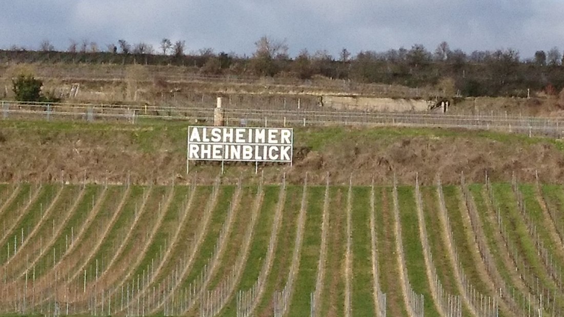 Weingut Weber Hof-B&auml;renstein_Weinberg, &copy; Weingut Weber Hof-B&auml;renstein