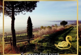 Weingut Schwahn-Fehlinger_Logo 2 © Weingut Schwahn-Fehlinger
