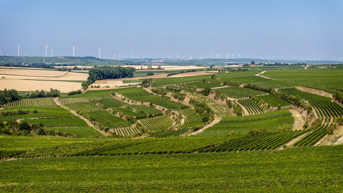 Alsheimer Römerberg, © Torsten Silz
