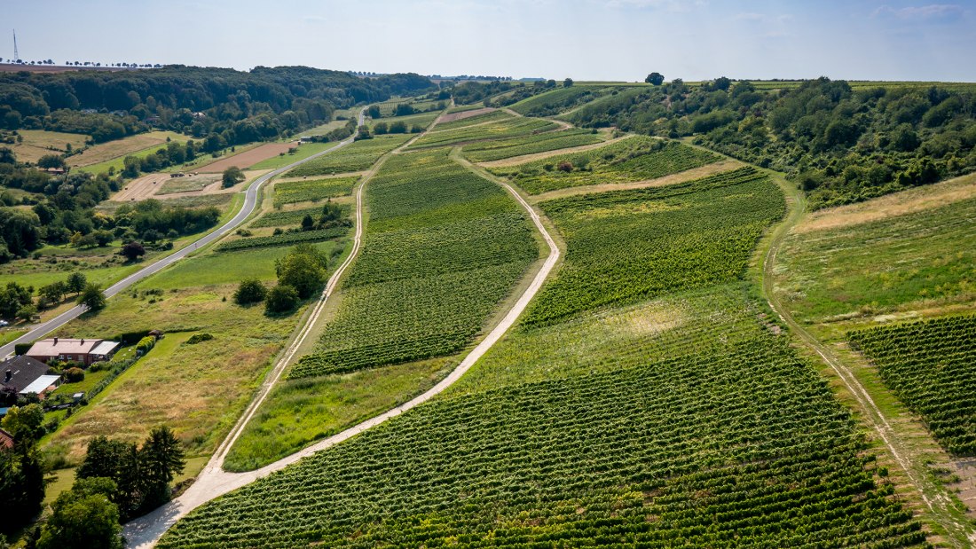 Jugenheimer Goldberg