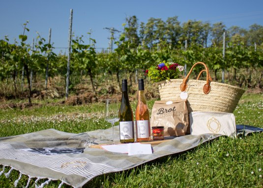 JUWEL Weinpicknick zwischen den Zeilen in Alsheim