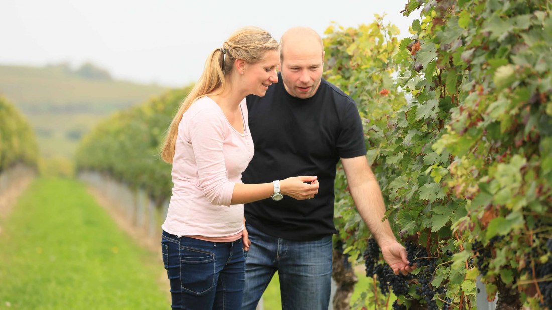 Weingut Klieber_Winzer, &copy; Weingut Klieber