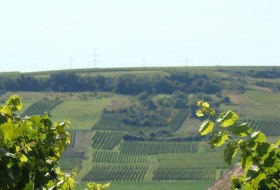 Kloppberg &copy; Verbandsgemeinde Wonnegau / Michael Thier