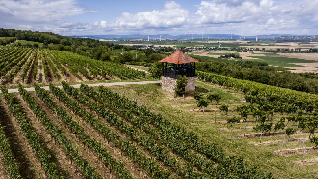 Bornheimer H&auml;hnchen