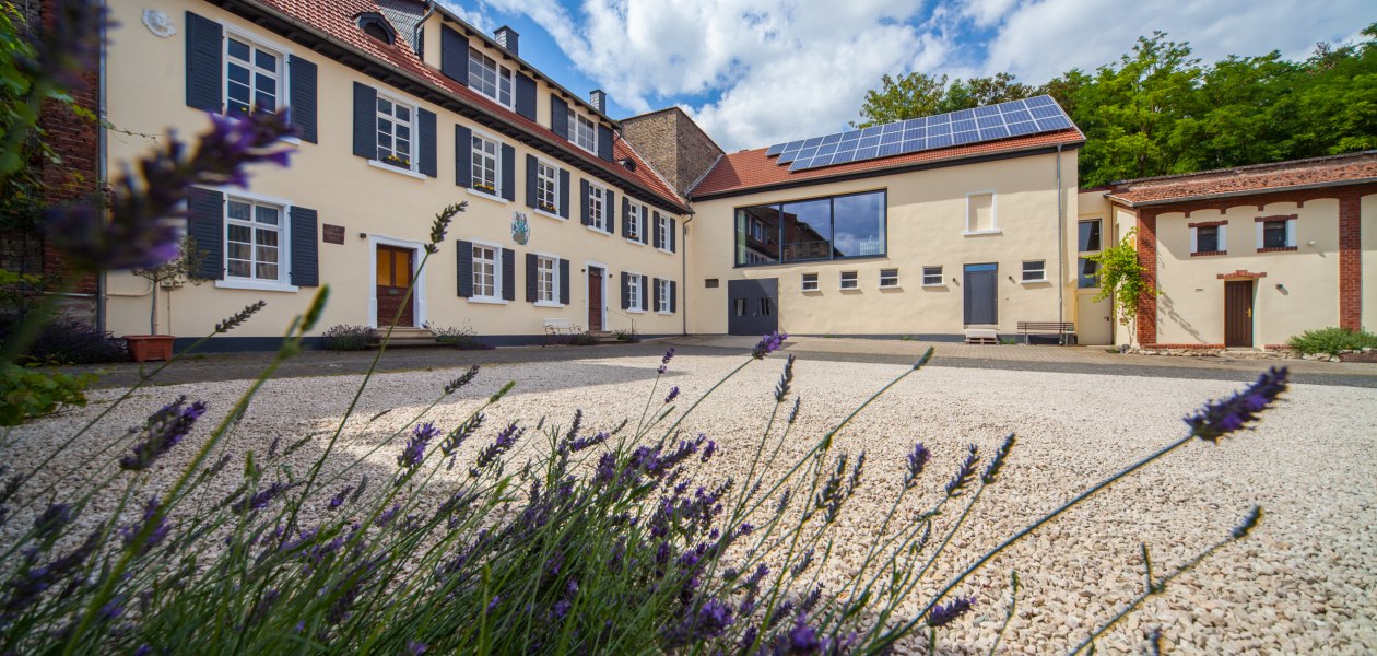 Weingut Steinm&uuml;hle_Weingut, &copy; Weingut Steinm&uuml;hle