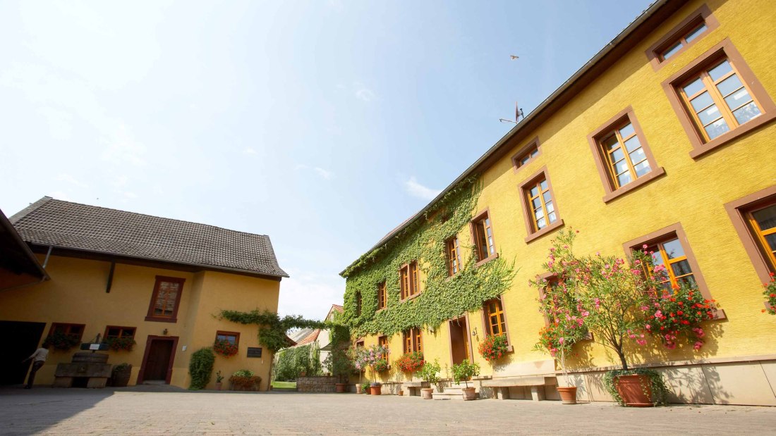 Weingut Julian Wolf_Hof 2, &copy; Weingut Julian Wolf