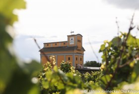 Silo Osthofen &copy; Die Knipser / Jannik Reinecke