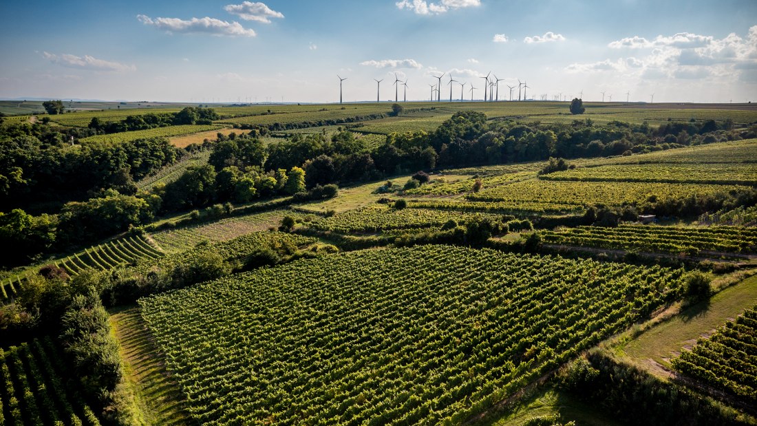 Alsheimer Fr&uuml;hmesse