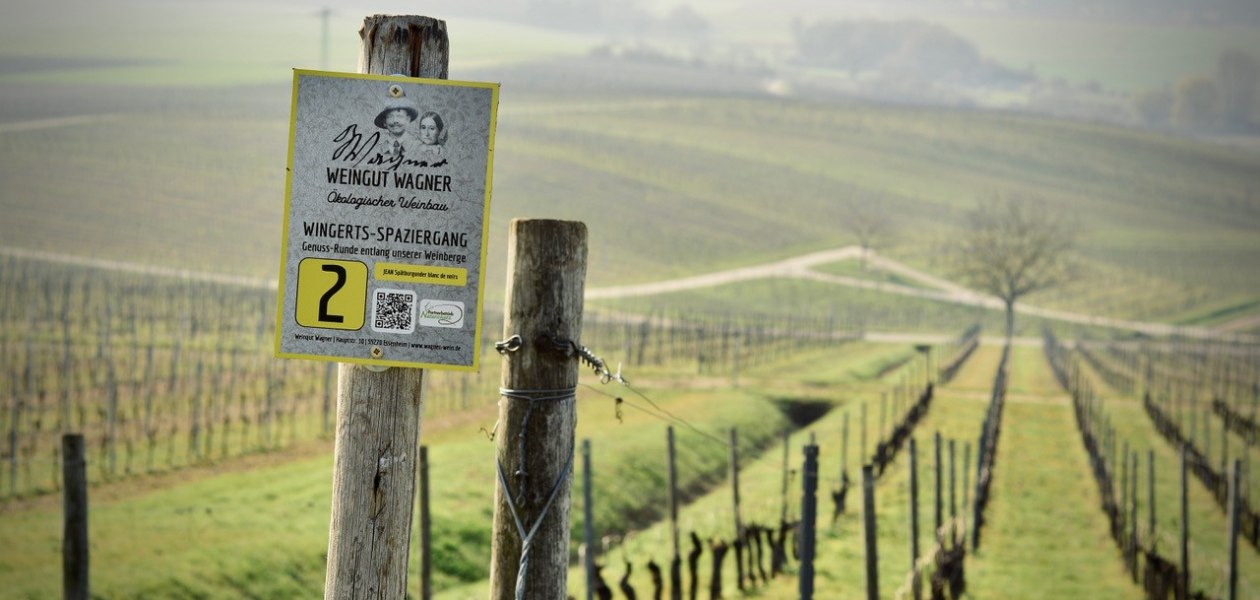 Weingut Wagner_Weinberg, &copy; Weingut Wagner