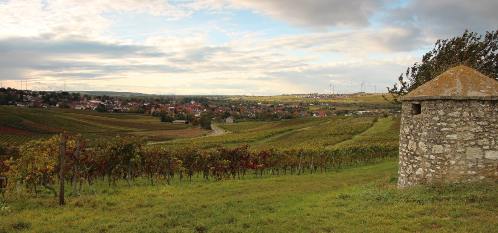 Blick auf Gundersheim, &copy; Stephan Ennemoser