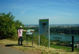 RheinTerrassenWeg &copy; Rheinhessen-Touristik GmbH - Karl-Georg M&uuml;ller