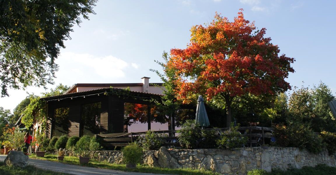 Weingut Rheinterrassenhof_Au&szlig;en, &copy; Weingut Rheinterrassenhof