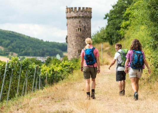 Weg zum Ajaxturm © Dominik Ketz