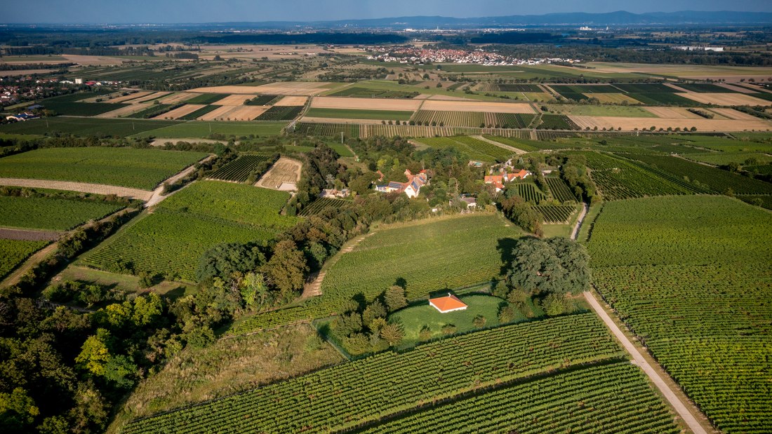 Alsheimer Fischerpfad