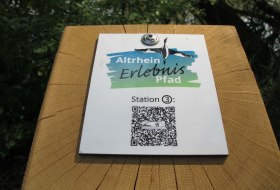Informationstafel Altrheinerlebnispfad &copy; Verbandsgemeinde Eich