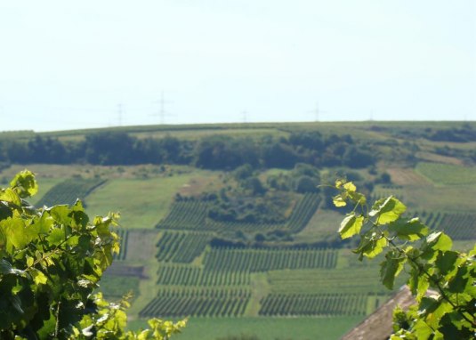 Kloppberg &copy; Verbandsgemeinde Wonnegau / Michael Thier